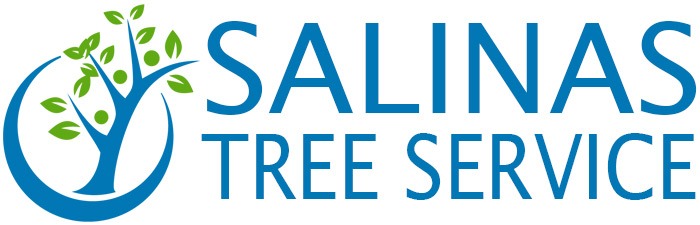 Salinas Tree Service & Landscaping